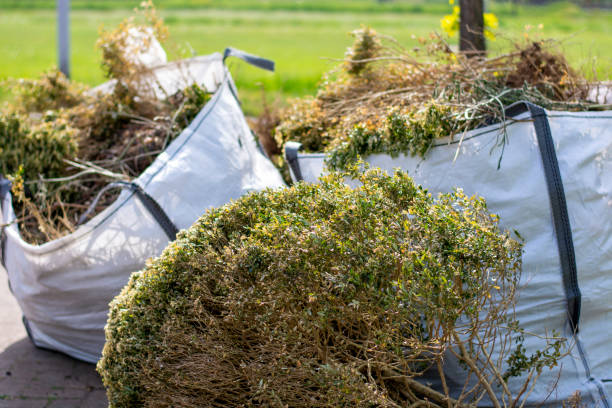 Best Affordable Junk Removal Services  in Ballville, OH